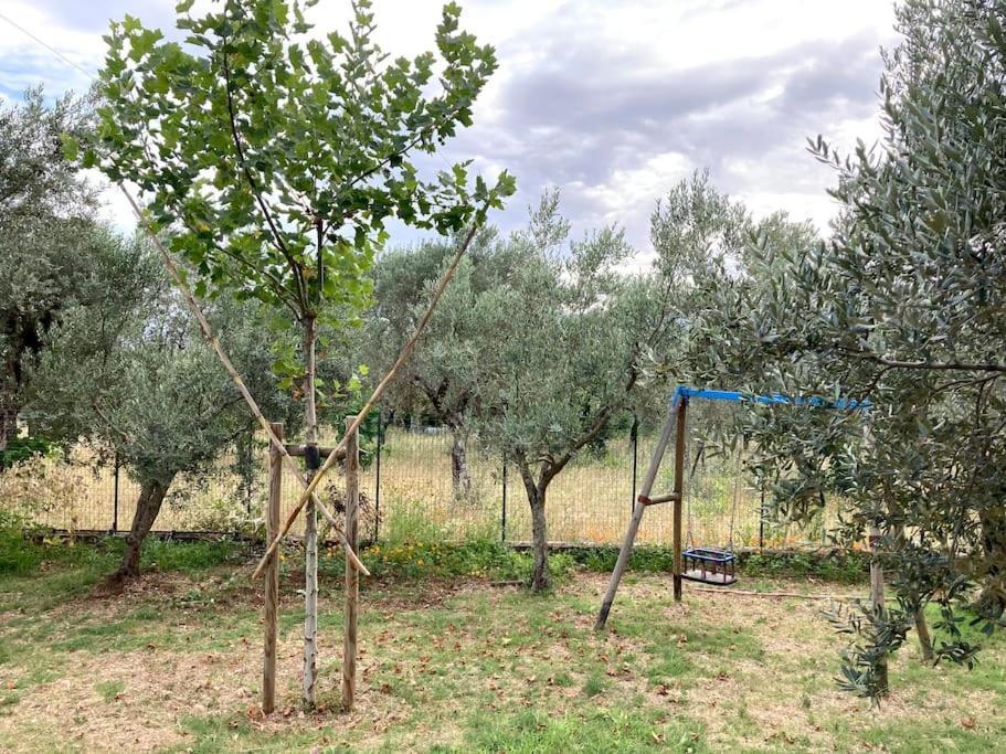 Casa Sisu-Appartamento Immerso Negli Ulivi SantʼElia Fiumerapido Buitenkant foto