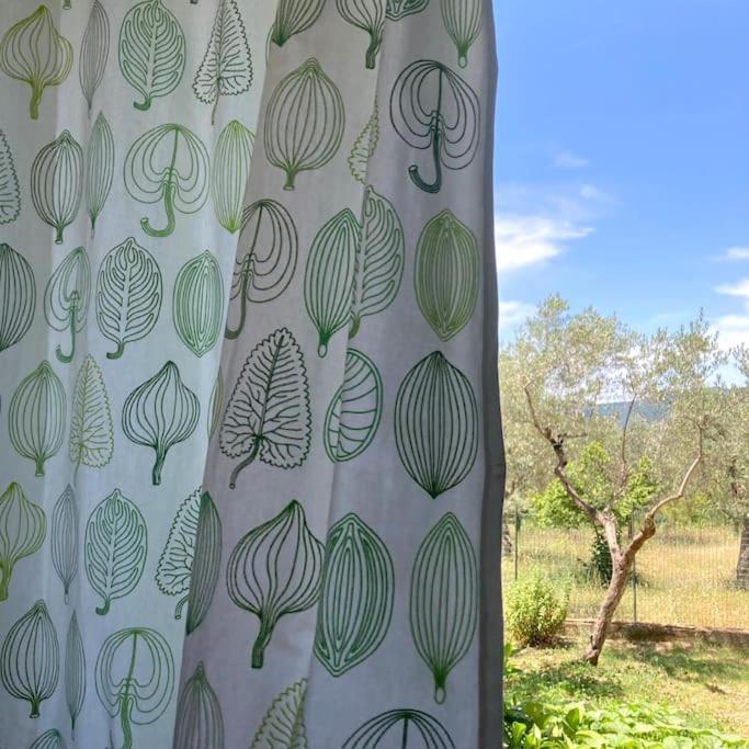 Casa Sisu-Appartamento Immerso Negli Ulivi SantʼElia Fiumerapido Buitenkant foto