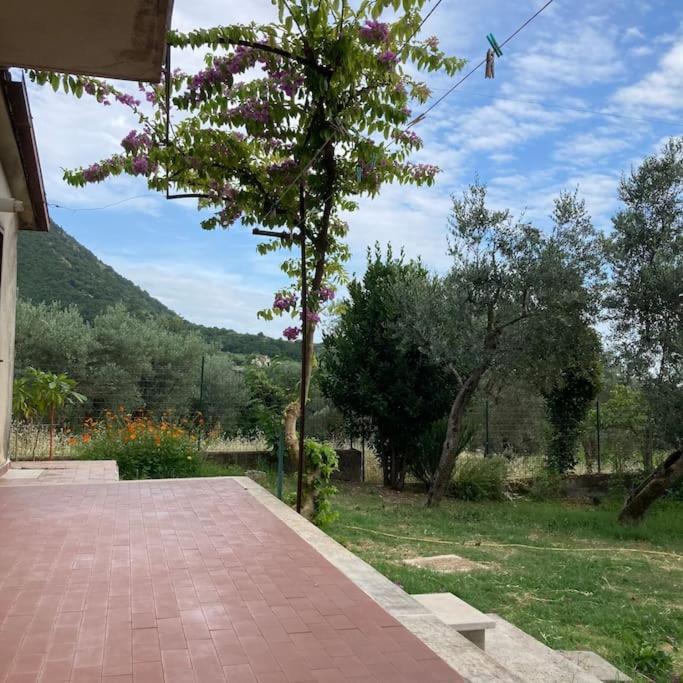 Casa Sisu-Appartamento Immerso Negli Ulivi SantʼElia Fiumerapido Buitenkant foto
