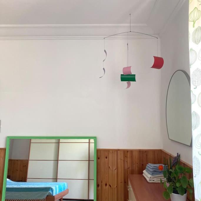 Casa Sisu-Appartamento Immerso Negli Ulivi SantʼElia Fiumerapido Buitenkant foto