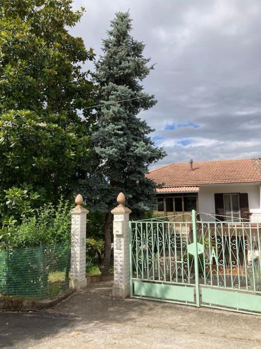 Casa Sisu-Appartamento Immerso Negli Ulivi SantʼElia Fiumerapido Buitenkant foto