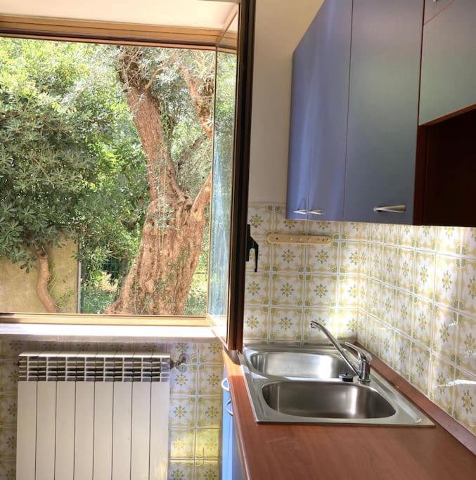 Casa Sisu-Appartamento Immerso Negli Ulivi SantʼElia Fiumerapido Buitenkant foto