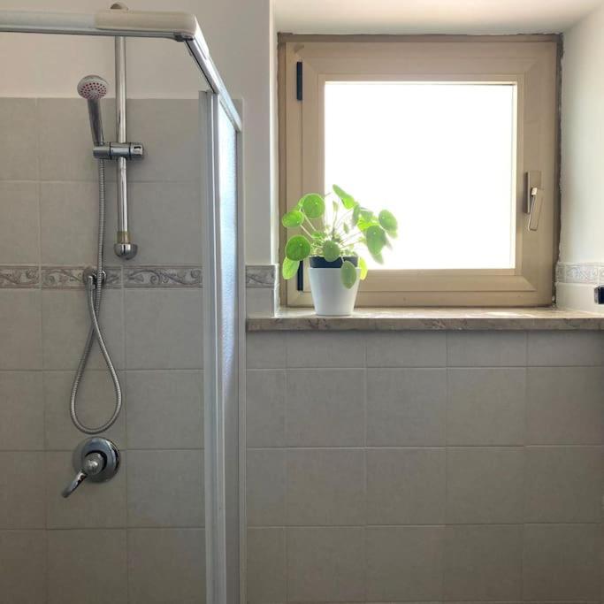 Casa Sisu-Appartamento Immerso Negli Ulivi SantʼElia Fiumerapido Buitenkant foto