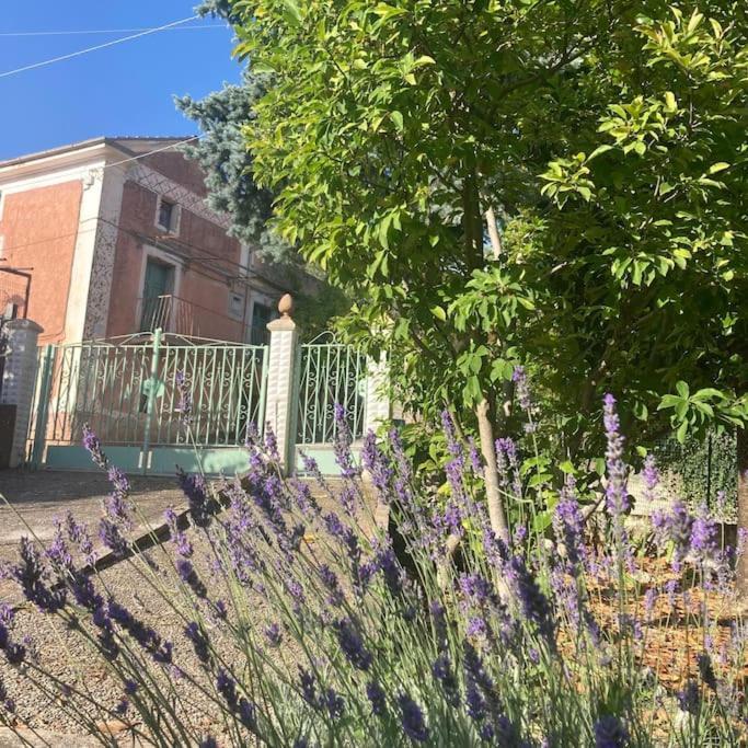Casa Sisu-Appartamento Immerso Negli Ulivi SantʼElia Fiumerapido Buitenkant foto