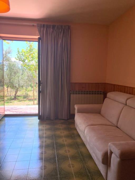 Casa Sisu-Appartamento Immerso Negli Ulivi SantʼElia Fiumerapido Buitenkant foto