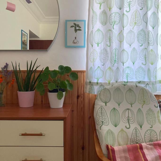 Casa Sisu-Appartamento Immerso Negli Ulivi SantʼElia Fiumerapido Buitenkant foto
